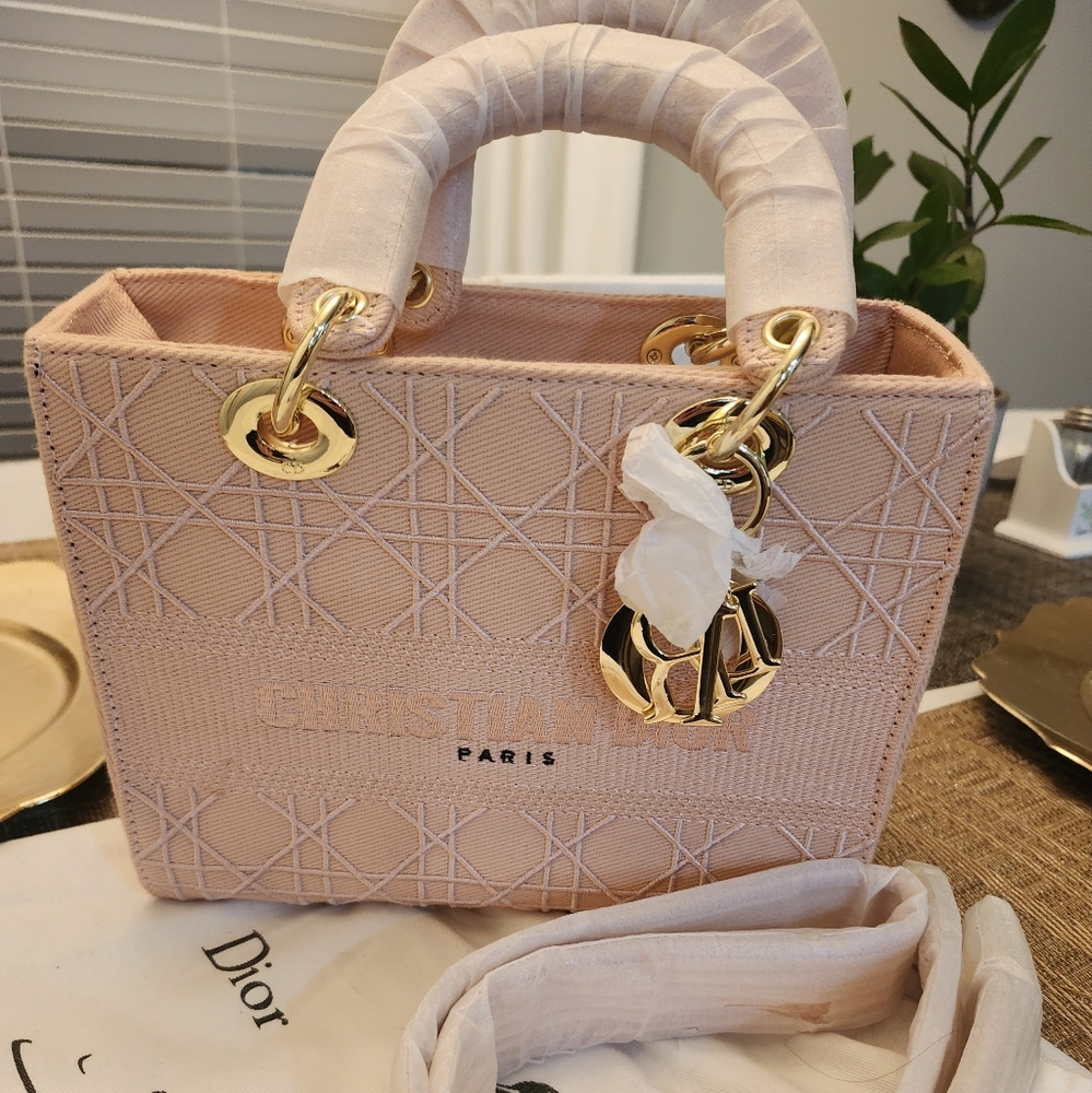 Mini Dior purse